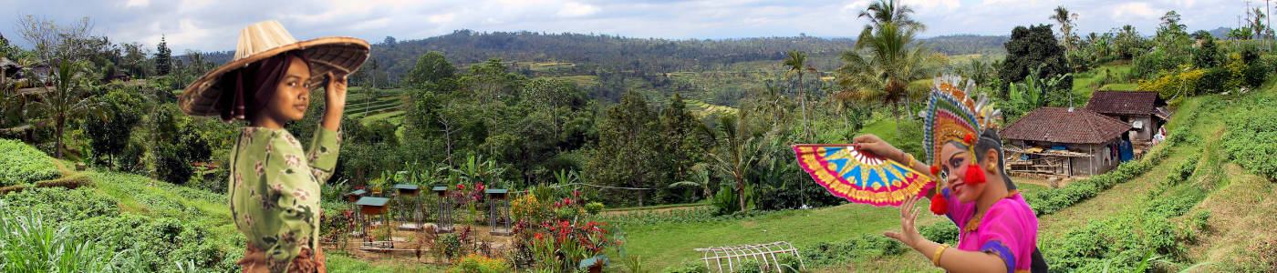 Individuele rondreis Bali en Sulawesi